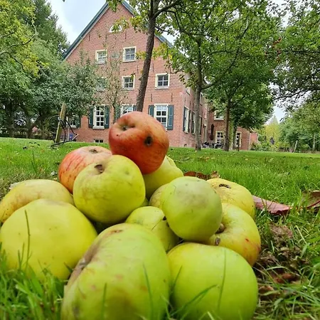 Gulfhof Boomgaarden 12 Gerhard Apartmán *