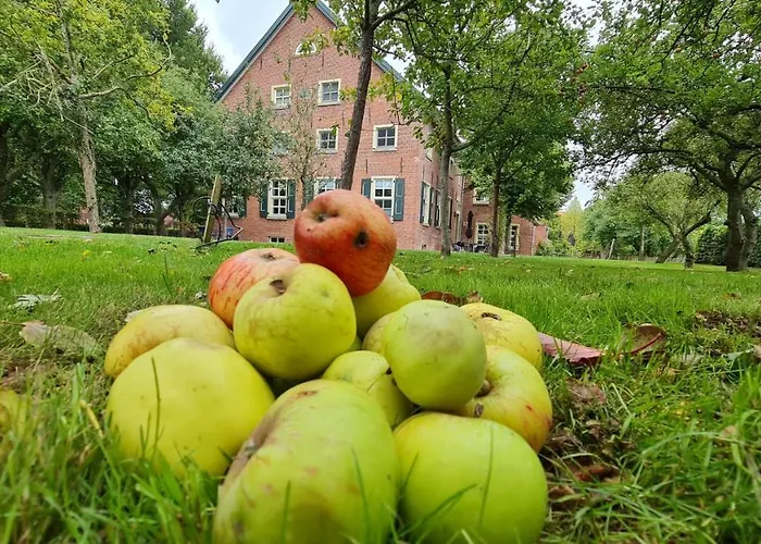 Gulfhof Boomgaarden Boomgaarden 12 Gerhard Apartamento *